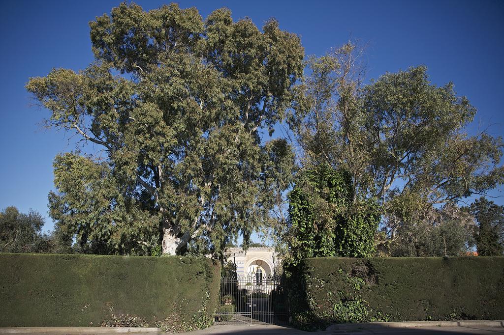La Serra - Villa De Bonis San Cesario di Lecce Exterior foto